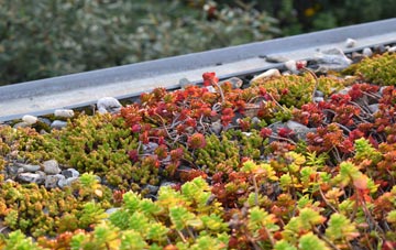the cost of Soldon Cross green roof installation