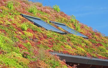 Soldon Cross living roof systems
