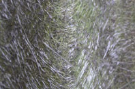 Soldon Cross fibreglass roof work